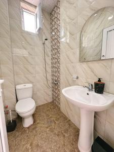 un bagno con un water e un lavandino di Sofia House a Kobuleti