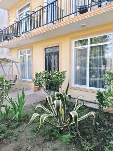 Giardino di Sofia House