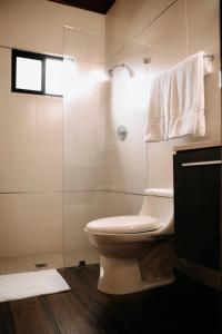 a bathroom with a white toilet and a shower at Hotel Boutique Rebequet in Boquete
