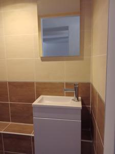 a bathroom with a white sink and a mirror at L'entre deux in Entrelacs +19 photos