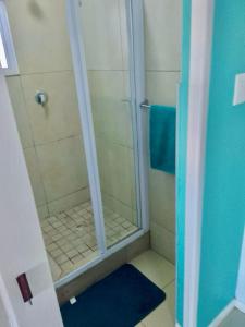 una doccia con una porta in vetro in un bagno di CZ Kubs 43 a East London