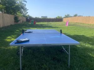 Fotografie z fotogalerie ubytování CASA ELLA v destinaci Murighiol