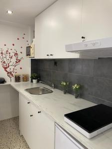 a kitchen with a sink and a counter top at Studio apartment Adrijana in Zagreb
