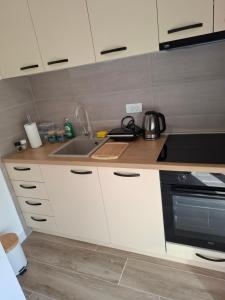 Kuchyň nebo kuchyňský kout v ubytování Apartman Djukic