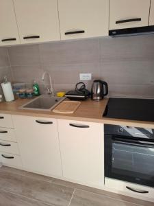 Kuchyň nebo kuchyňský kout v ubytování Apartman Djukic