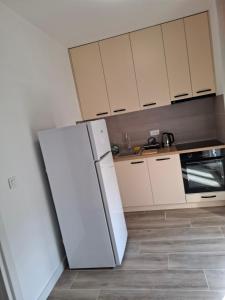 Kuchyň nebo kuchyňský kout v ubytování Apartman Djukic