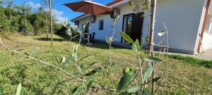 Zahrada ubytování Villa Red Melons Portoscuso