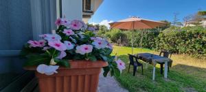 Zahrada ubytování Villa Red Melons Portoscuso