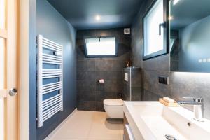 une salle de bain avec toilettes et lavabo dans l'établissement Joli T1 Bis avec Chambre - Cuisine - Salle de Bain, à Vallières 36 autres photos