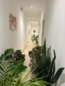 Fotografie z fotogalerie ubytování Deni's Hotel v destinaci Sarandë
