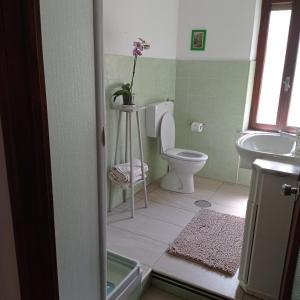 a bathroom with a toilet and a sink at la maison des fleurs in Fenis +10 photos