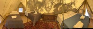 a room with three beds in a tent at LOUSAL TENTS Grandola in Lousal
