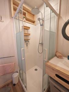 a bathroom with a shower and a sink at La grange de la petite souris in Bouxwiller +27 photos