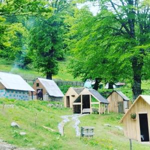 Φυσικό τοπίο κοντά σε αυτό το διαμέρισμα