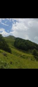 Φυσικό τοπίο κοντά σε αυτό το διαμέρισμα +15 φωτογραφίες