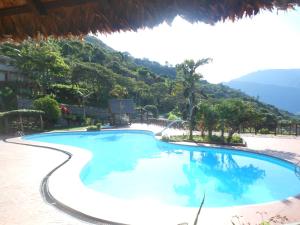 
The swimming pool at or near Hotel Viejo Molino Coroico
