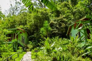 a path leading to two green cottages at Jaguarundi Jungle Lodge - Monteverde in Monteverde Costa Rica