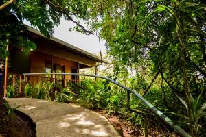 Aed väljaspool majutusasutust Jaguarundi Lodge - Monteverde