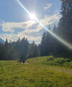 Príroda v okolí apartmánu