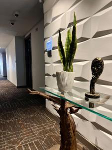 Fotografie z fotogalerie ubytování Hotel Sabana Park v destinaci Cajicá + 37 fotografií