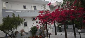 Foto dalla galleria di Agrellis Apartments a Città di Kos