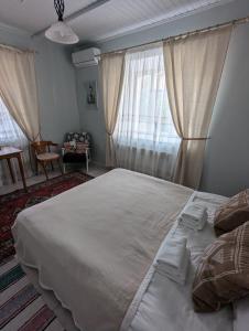 a bedroom with a large white bed with curtains at Pensiunea Casa Veche in Palanca