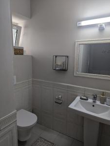 a bathroom with a toilet and a sink and a mirror at Pensiunea Casa Veche in Palanca