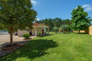 a yard with a house and a tree at Apartamento T1 Charme, condomínio perto de Pombal in Pombal