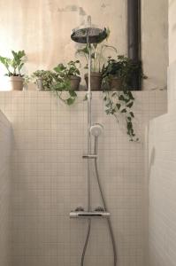 a bathroom with a shower with potted plants on a wall at Extraordinary quiet apartment in the very centre in Bratislava