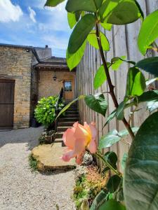 Zahrada ubytování L'Imprévu - Maison de vigneron à deux pas de Vézelay