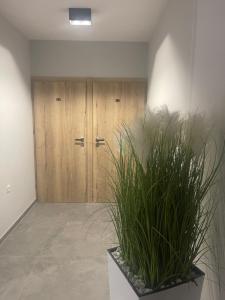 Fotografie z fotogalerie ubytování NOVA Apartamenty&Pokoje v destinaci Rozewie