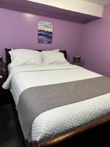 Katil atau katil-katil dalam bilik di Serenity & memorable Cozy Lower Level Apartment Room in TownHouse Private Entrance