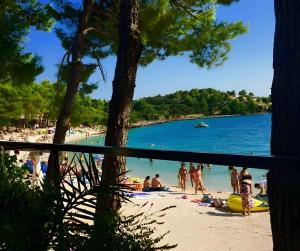 Fotografie z fotogalerie ubytování Holiday home Drage/Biograd Riviera 39728 v destinaci Drage