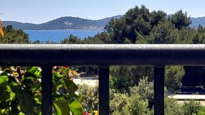 Fotografie z fotogalerie ubytování Holiday home Drage/Biograd Riviera 39728 v destinaci Drage