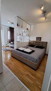 a bedroom with a large bed in a room at Maya 's home - Vracar in Vračar (historical)