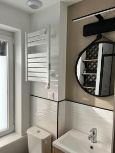 a bathroom with a sink and a mirror and a toilet at Maison centre ville Ardres in Ardres