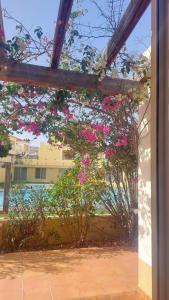 a pergola with pink flowers in a courtyard at Mervilla in Caleta De Fuste