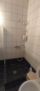 a bathroom with a shower and a toilet at Politimis house in Makrinára +30 photos