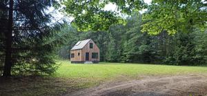 a small wooden barn in a field with trees at Dom w lesie in Przytuły