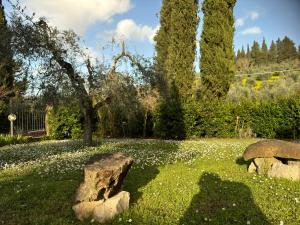 A garden outside Villa del Biondo