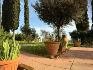 A garden outside Villa del Biondo