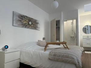Maison des ambans chambres d'hotes hypercentre 200m de la gare et petit dejeuner inclus客房内的一张或多张床位
