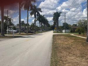 サンライズにあるDiscover a paradise come trueの道路脇のヤシの木が並ぶ空き道