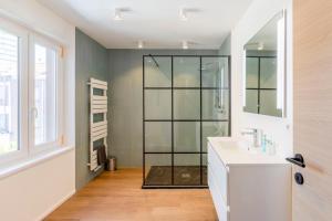 オーステンデにあるEreva Seaside 2 bedroom duplex modern apartmentのガラスのシャワーと洗面台を備えたバスルーム