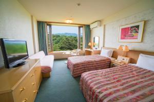 TV a/nebo společenská místnost v ubytování Tsumagoi Prince Hotel