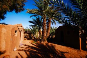 Fotografie z fotogalerie ubytování Auberge la Palmeraie v destinaci Mhamid + 37 fotografií