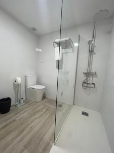 Un baño con ducha de cristal y un inodoro. en Apartamentos ESPIGAS PUERTO, en Valencia