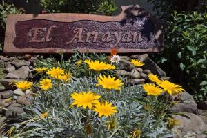 Ein Garten an der Unterkunft El Arrayan " No acepta mascotas"