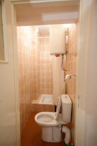 a small bathroom with a toilet and a shower at Apartments City Hall in Belgrade