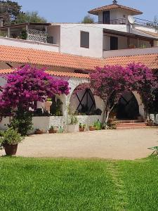 dom z fioletowymi kwiatami w ogrodzie w obiekcie Gli Archi Country Home w mieście Giurdignano